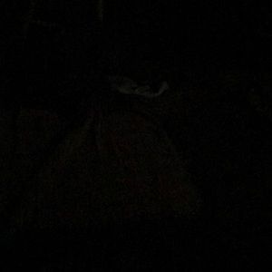 Meet your Posher, Ellen